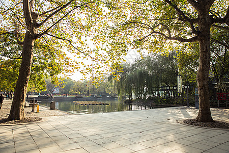 城市阳光杭州西湖阳光大树广场背景