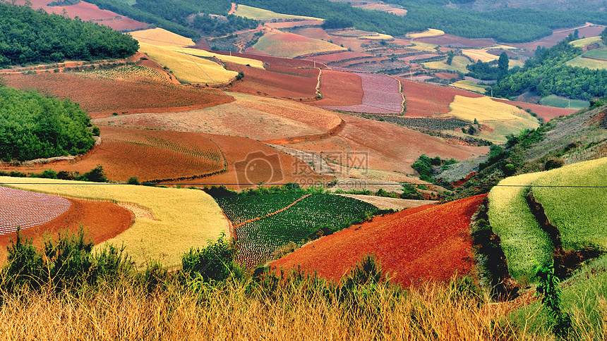 东川红土地图片