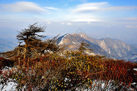 秦岭东梁风光图片