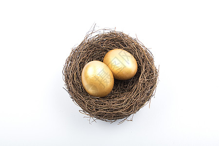商务金色鸟巢里的蛋多角度拍摄背景