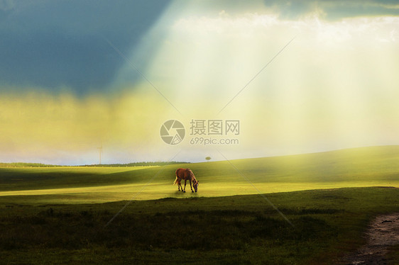 坝上草原风格图片