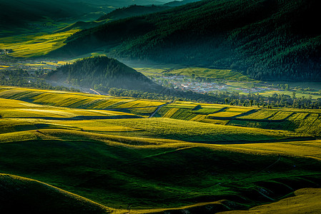 天树旅行留念背景