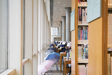 图书馆里学习的人图片