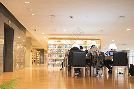 图书馆 看书图书馆里学习的人背景