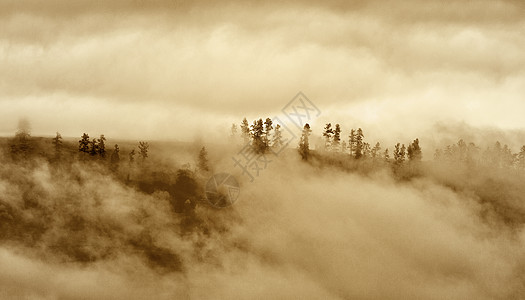 巴西耶稣山清晨阳光下的树林里的古镇背景