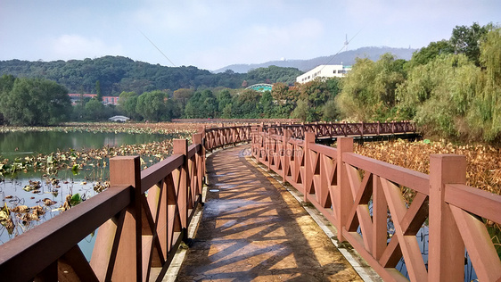 自然风景桥梁建筑绿色植被图片