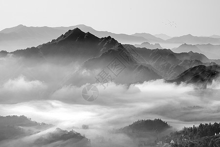 武夷山云雾背景图片