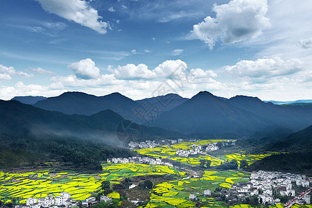 青海祁连卓尔山长焦油菜花风光背景图片