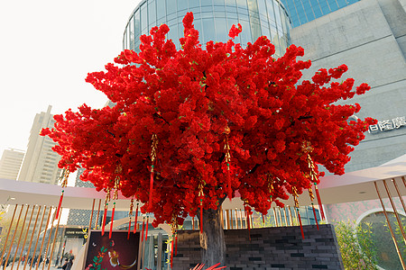 上海街景中国新年春节街景背景