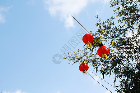 南山竹海背景图片