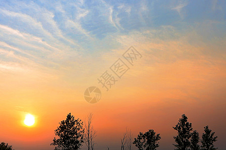 海边建筑黄昏 乡村 动物背景