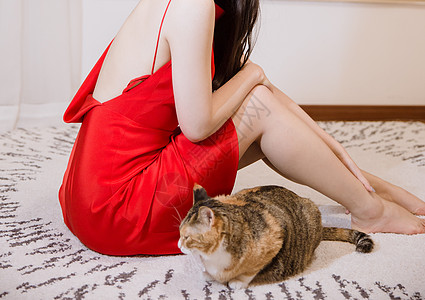 穿红色剪裁礼服女人与猫图片