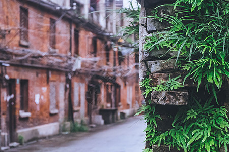 手绘花卉背景绿色植物背景背景