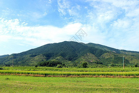 山野背景图片