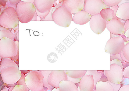 花瓣中央的情人节卡片背景图片