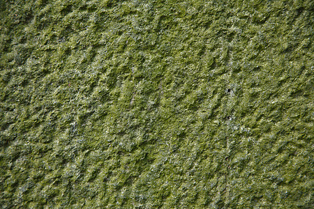 海报合成背景 海报合成摄影图片 海报合成壁纸 摄图网