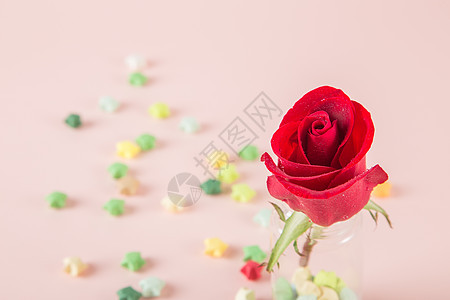 创意瓶子里的红玫瑰背景图片