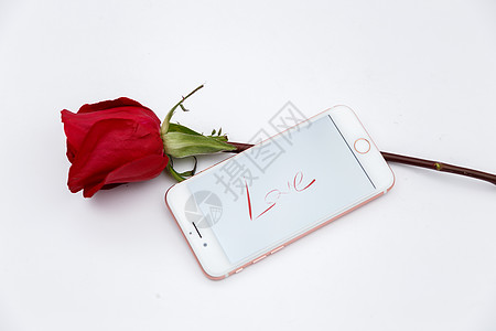 玫瑰花和手机图片