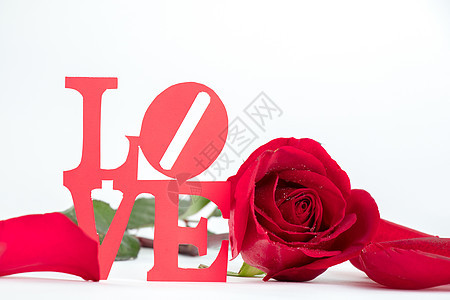 520爱情玫瑰花背景图片