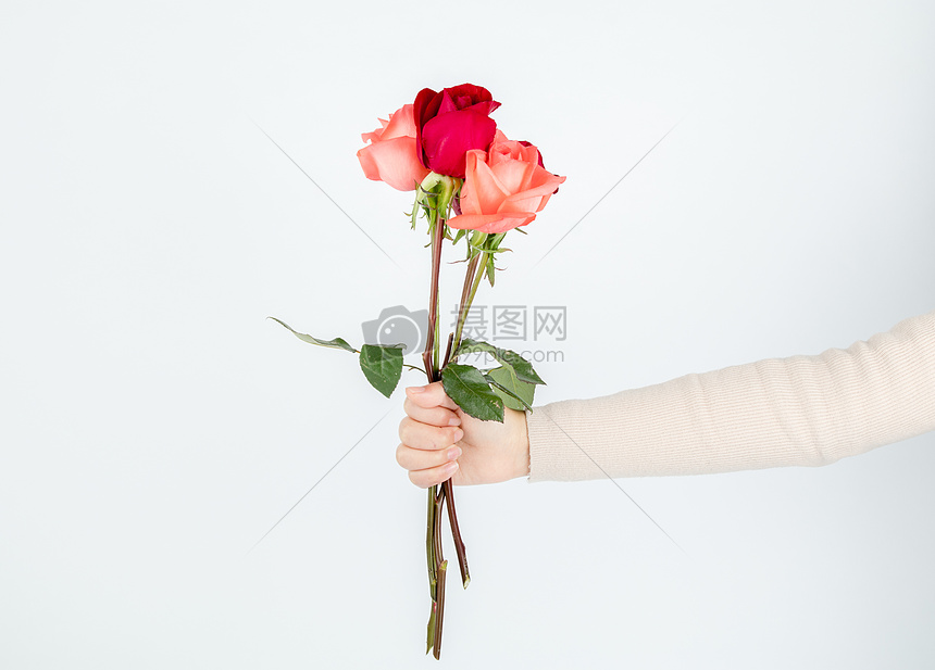 手拿玫瑰情人节爱情图片