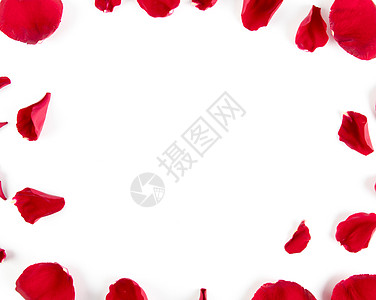 织女织布玫瑰花瓣背景