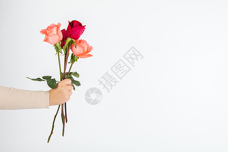 手绘七夕情人节520情人节送一束玫瑰花背景