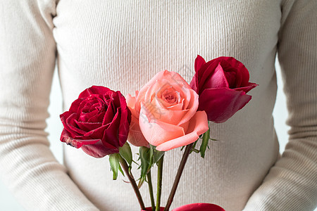花朵平铺520情人节送一束玫瑰花背景