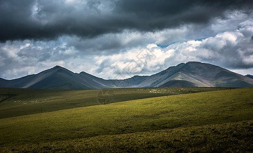 祁连山打草原祁连山背景