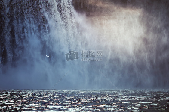 飞翔在瀑布前的小鸟图片