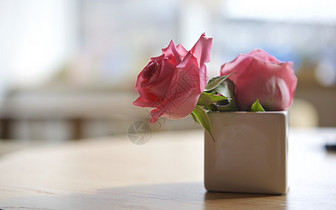 情人节的玫瑰与咖啡图片