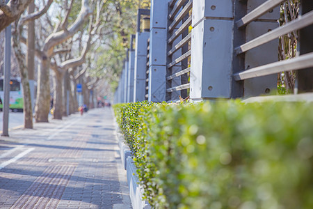 清新文艺惬意阳光道路图片