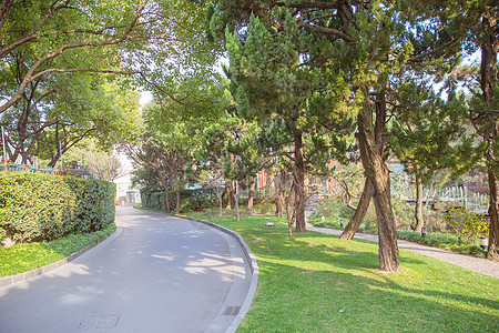 清新文艺惬意阳光道路背景图片