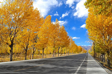 彩色公路西藏风光背景