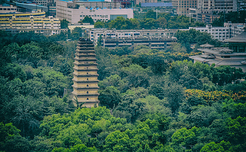 盛夏里的西安小雁塔远眺背景