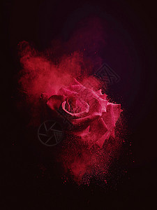 输液飘散黑色背景下飘散的红玫瑰背景
