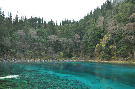 九寨沟风景区高清图片