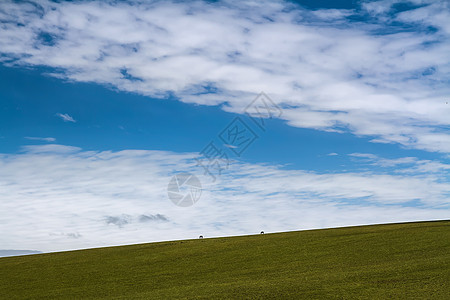 蓝天白云天边的马高清图片