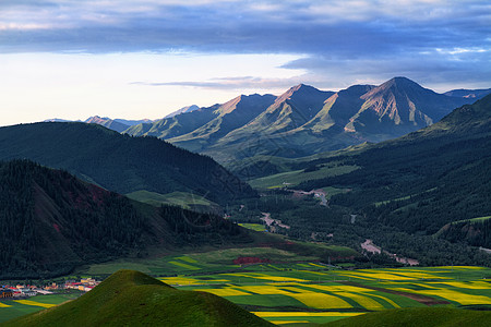 森林插画天境祁连背景