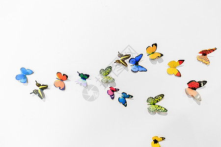 蝴蝶元素一群飞舞的蝴蝶背景