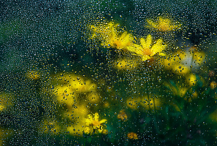 谷雨油画般的黄色小菊花背景