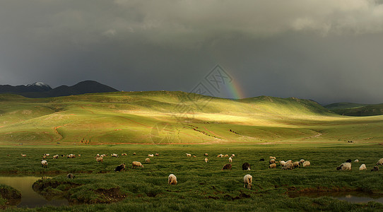 阳光乌云高原之秋背景