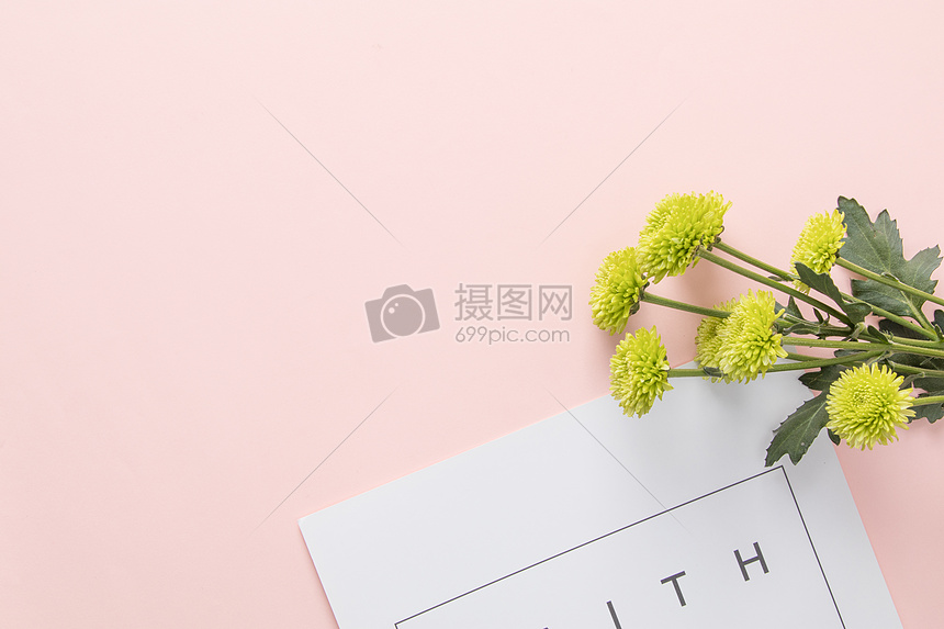 小清新粉色雏菊文艺背景图片