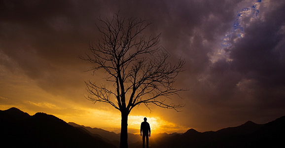 枯树下的一个人背景图片
