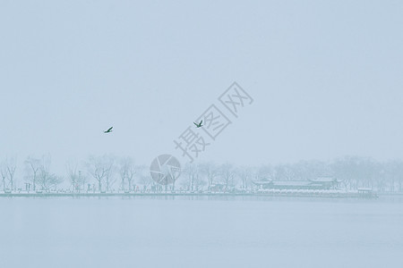 雪天风景冬天雪景 背景 极简 园林背景