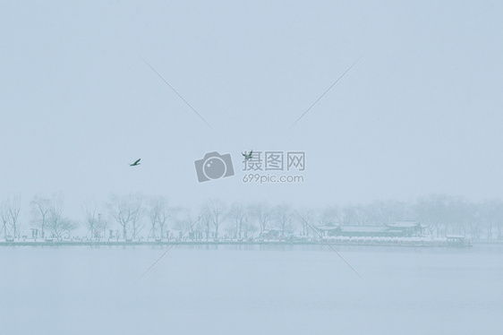 冬天雪景 背景 极简 园林图片