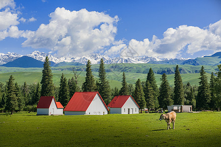 海事阿尔卑斯山东方的阿尔卑斯山背景