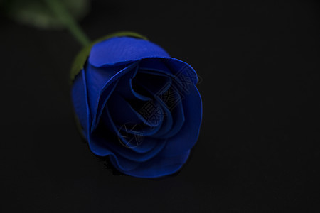 浪漫的蓝色玫瑰花图片