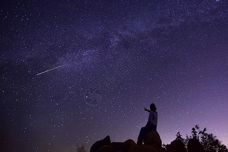 动物星空流星背景