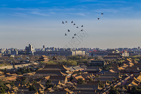 南边京城的故宫背景图片