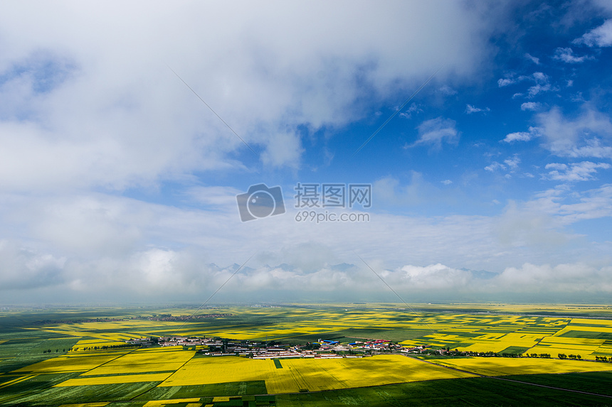 油菜花海与天连图片